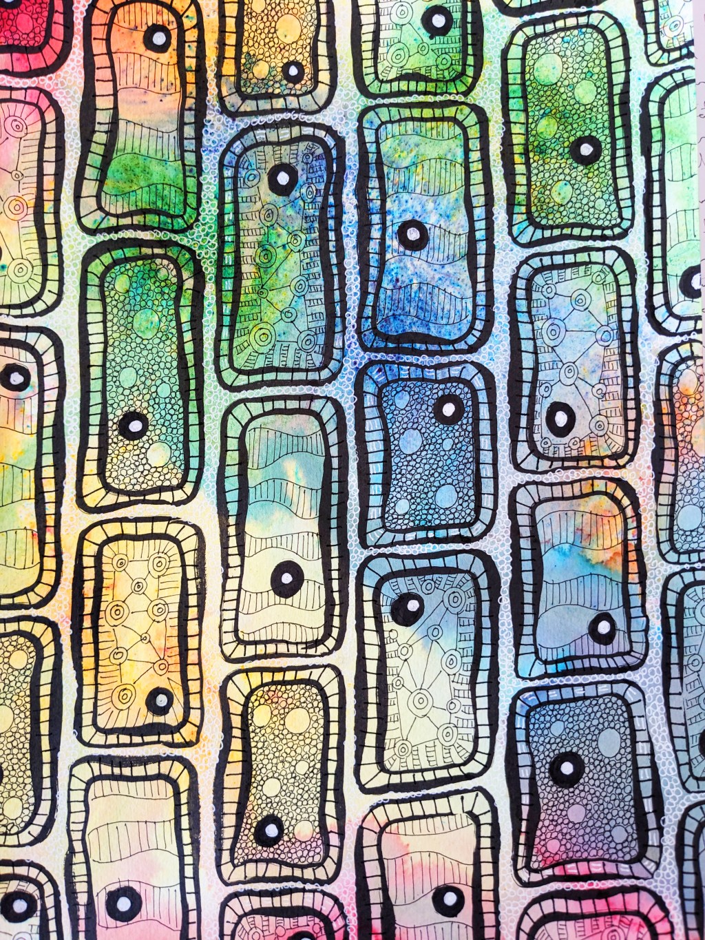 Looking at Natures Cells and Making&nbsp;Art