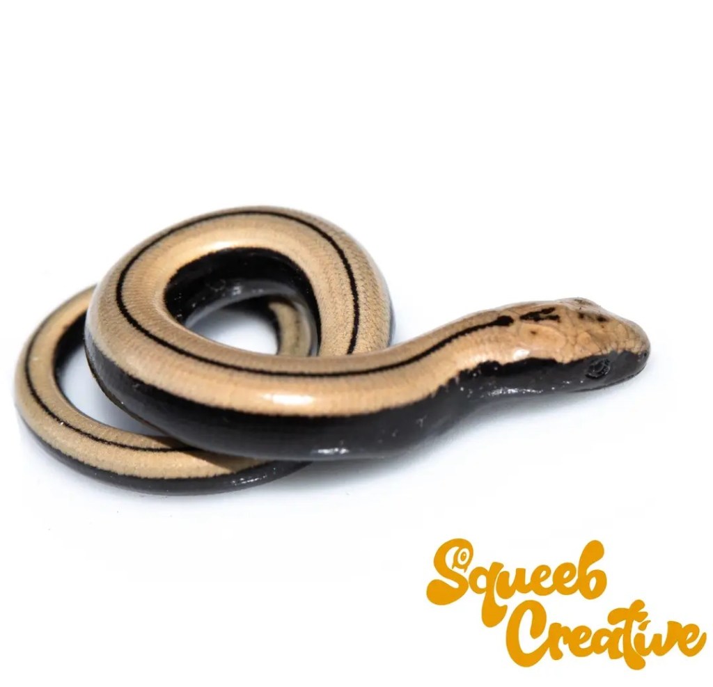 Slow worms in the&nbsp;garden!